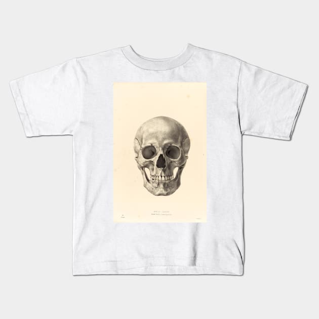 Vintage Skull Drawing Kids T-Shirt by picsoncotton